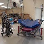 Veterinary Hospital
