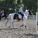 Training